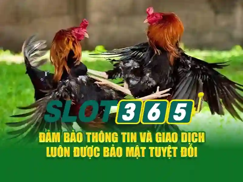 Khuyến mãi và vòng quay miễn phí\n<h5>Lời kết</h5>\n<p><span style=