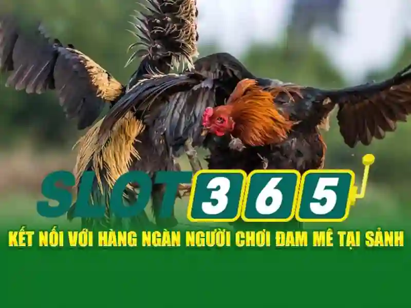 Nguồn gốc tên gọi và sứ mệnh của Slot365 apk