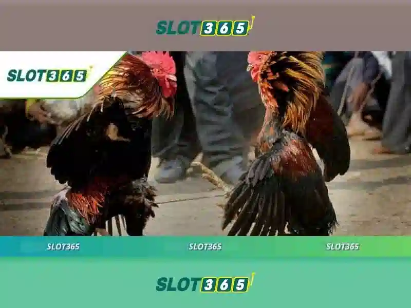 Tổng quan từ khóa Slot365