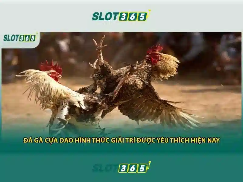 Giao diện nhà cái hoàn hảo