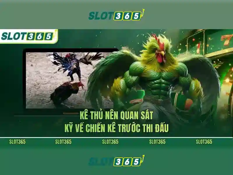 Giao diện nhà cái hoàn hảo