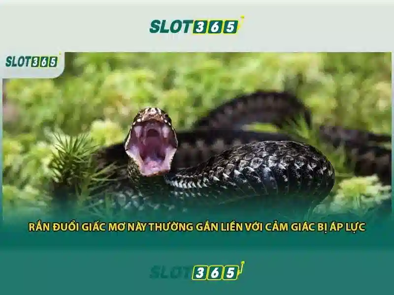 slot365 tại – Tổng quan chủ đề và giá trị cốt lõi