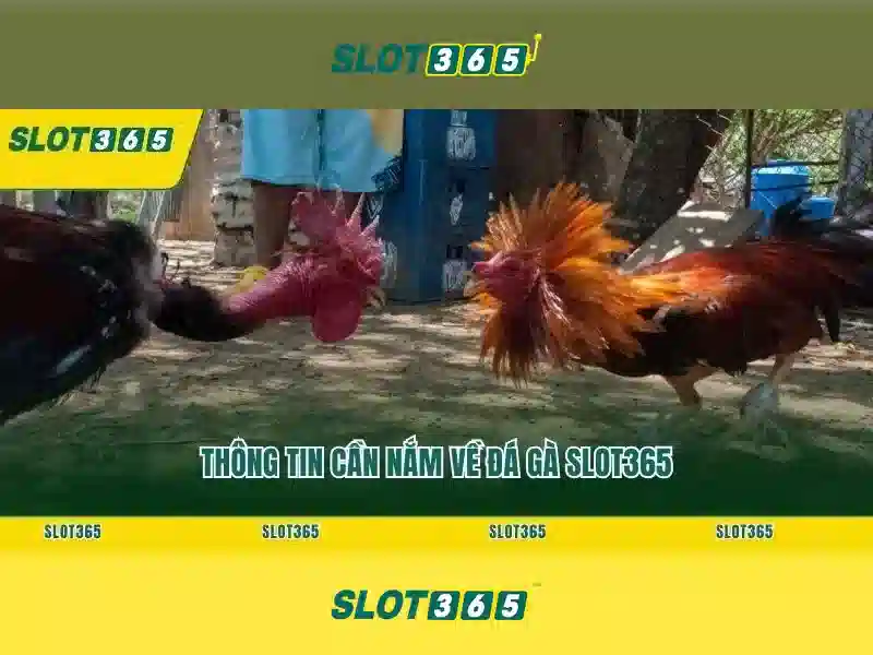 Các trò chơi nổi bật tại Slot365