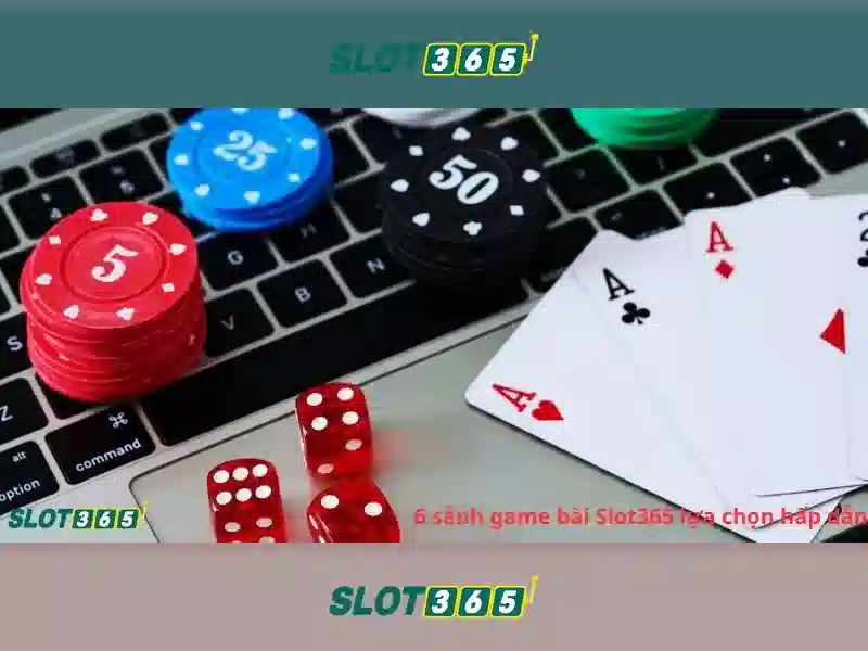 Đánh giá người dùng và cơ hội nhận thưởng