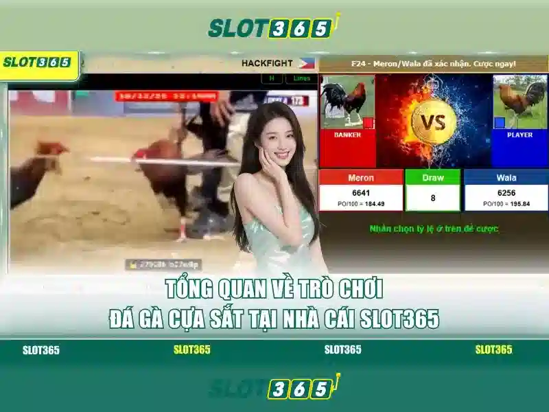 Khuyến mãi và chăm sóc khách hàng
