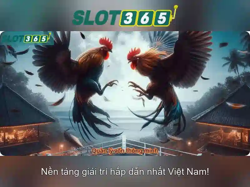 Khuyến mãi và chương trình thưởng