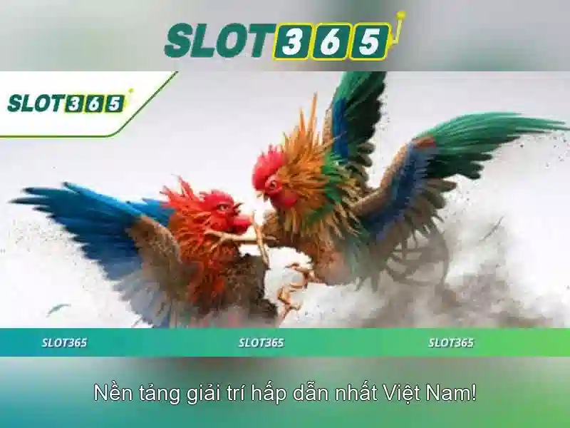 Giao diện nhà cái hoàn hảo