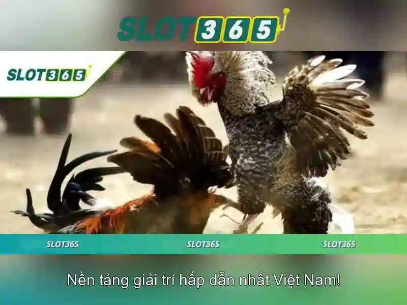 Slot365 - Nền tảng slot trực tuyến uy tín và trải nghiệm đỉnh cao Giao diện nhà cái hoàn hảo