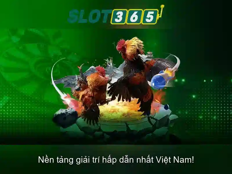 Giới thiệu về Slot365
