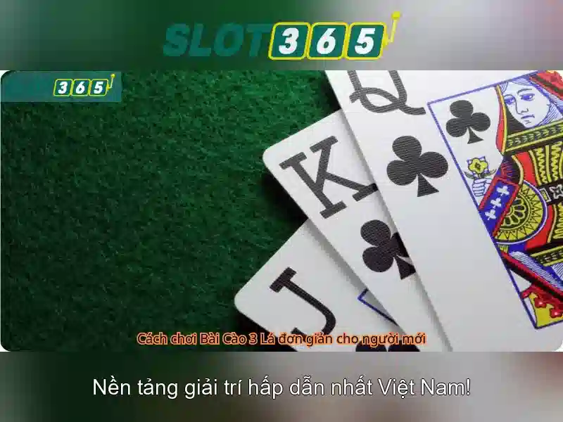 Slot365: Nền tảng trò chơi slots trực tuyến uy tín Giao diện nhà cái hoàn hảo