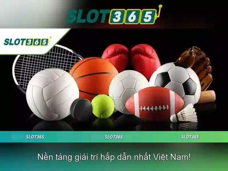 Các sản phẩm và dịch vụ liên quan đến slot365 login
