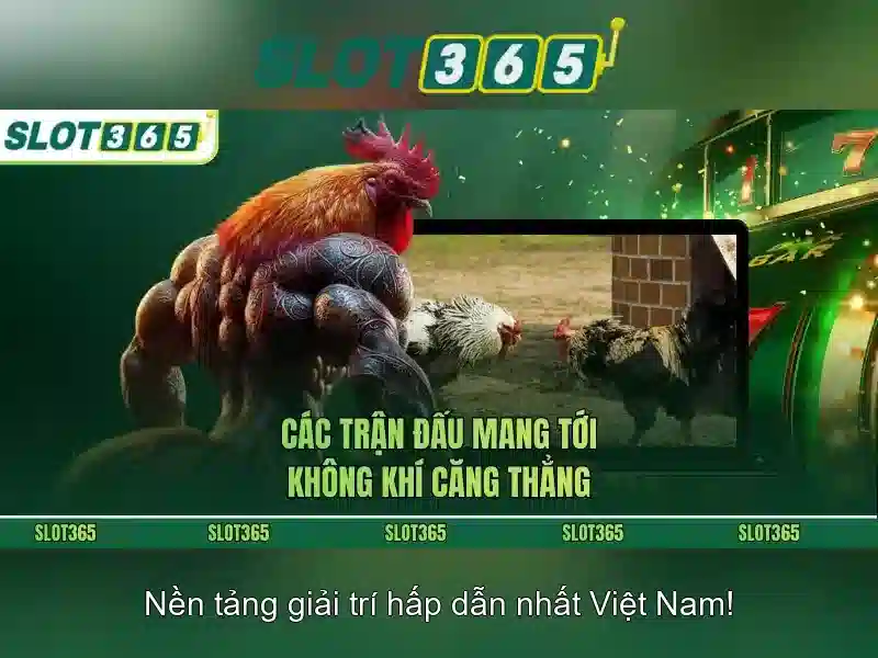 Hỗ trợ khách hàng và thanh toán thuận tiện