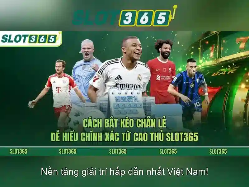 An toàn, bảo mật và thanh toán