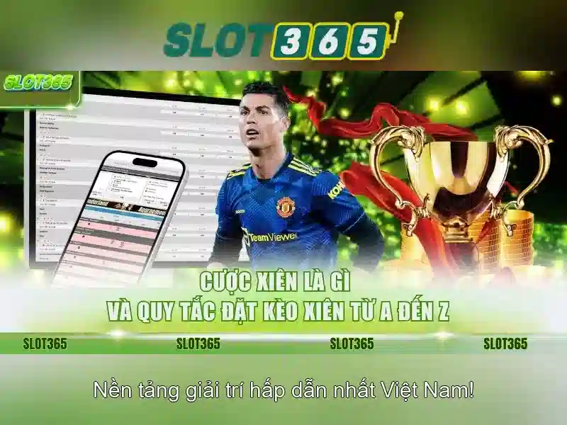 Giao diện người dùng và trải nghiệm di động