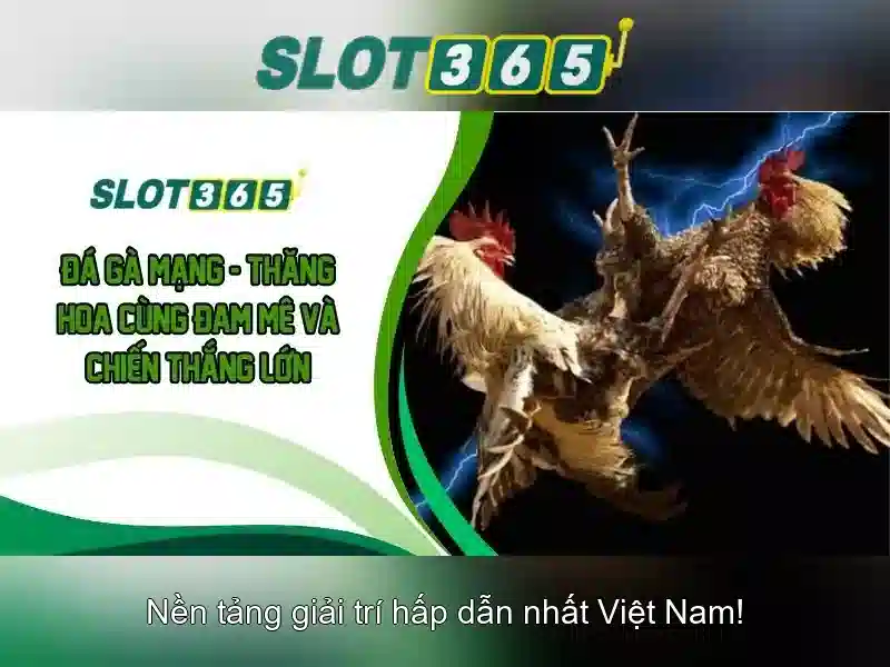 Slot365: Trải nghiệm slot trực tuyến an toàn và thú vị Giao diện nhà cái hoàn hảo