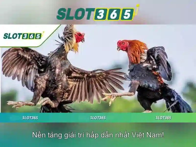 Giao diện nhà cái hoàn hảo