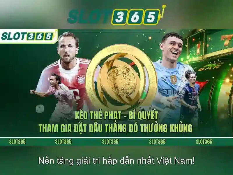 Hỗ trợ và tương tác
