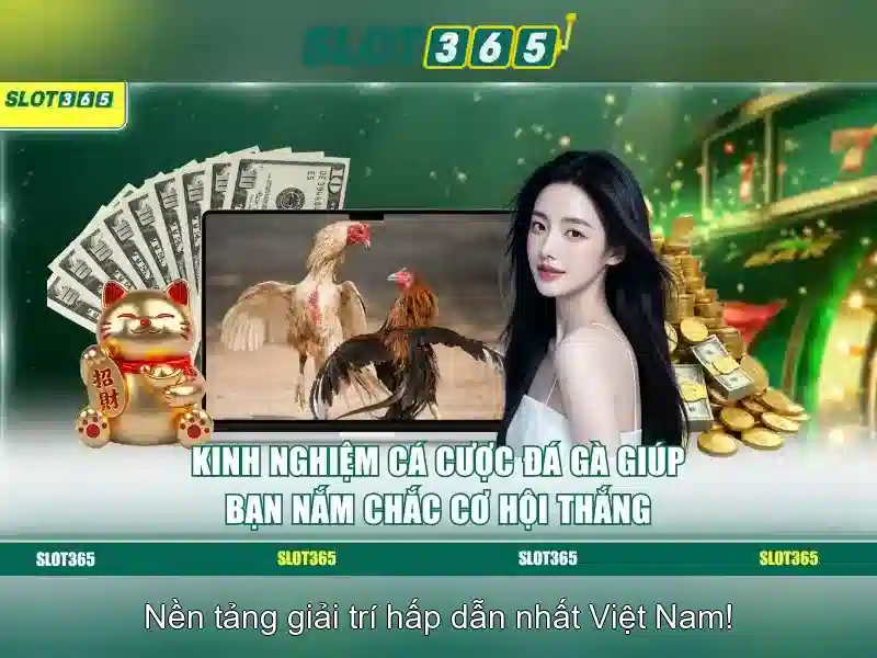 Khuyến mãi và chương trình thưởng