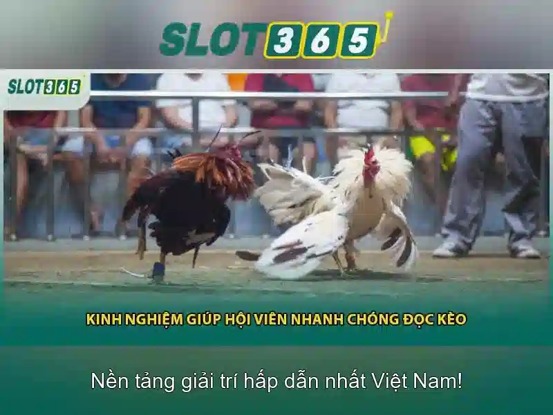 Trải nghiệm lối chơi slot đa dạng