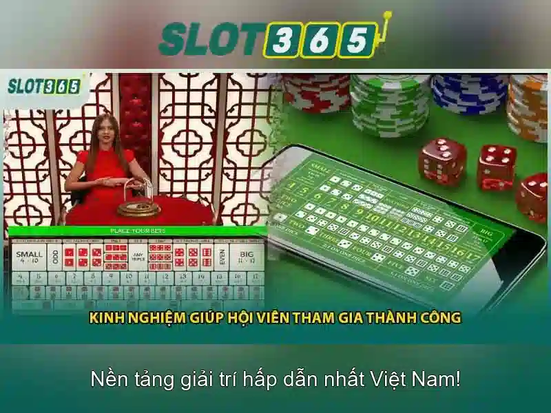 Trải nghiệm người dùng và giao diện