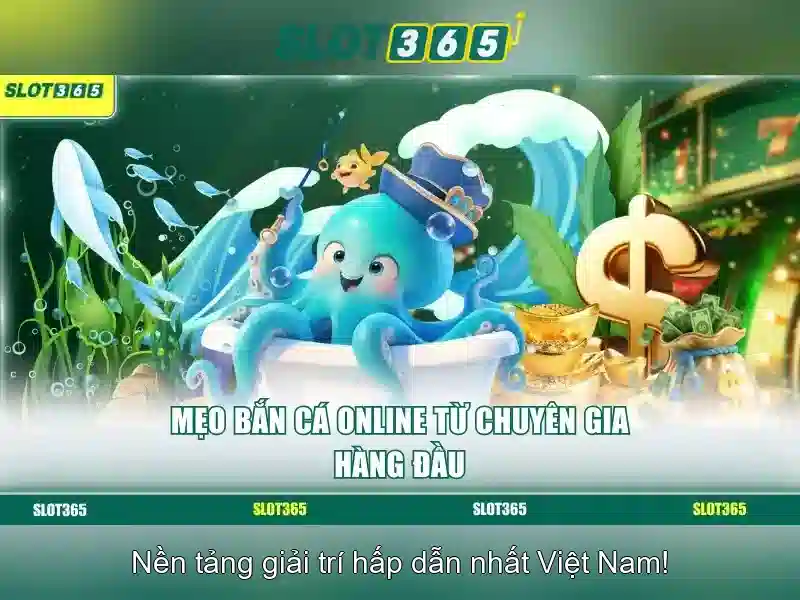 Trải nghiệm người dùng và thanh toán