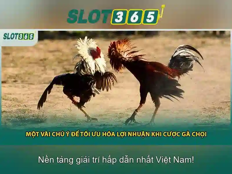 Slot365: Đánh giá và trải nghiệm casino slot trực tuyến Giao diện nhà cái hoàn hảo