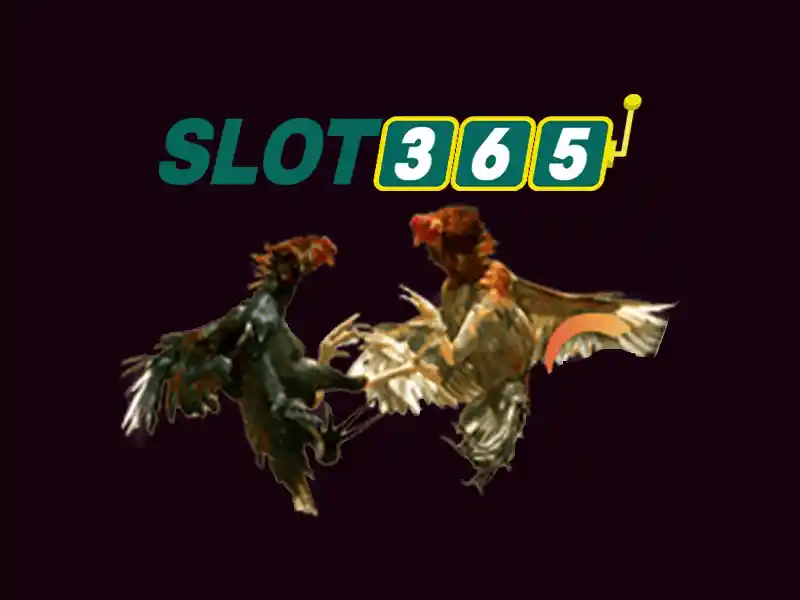 slot365 game: Trải nghiệm đỉnh cao và chiến lược thương hiệu Giao diện nhà cái hoàn hảo