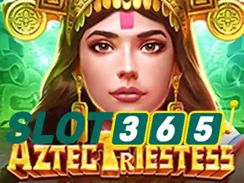 Ưu điểm và cạnh tranh Slot365 bị chặn